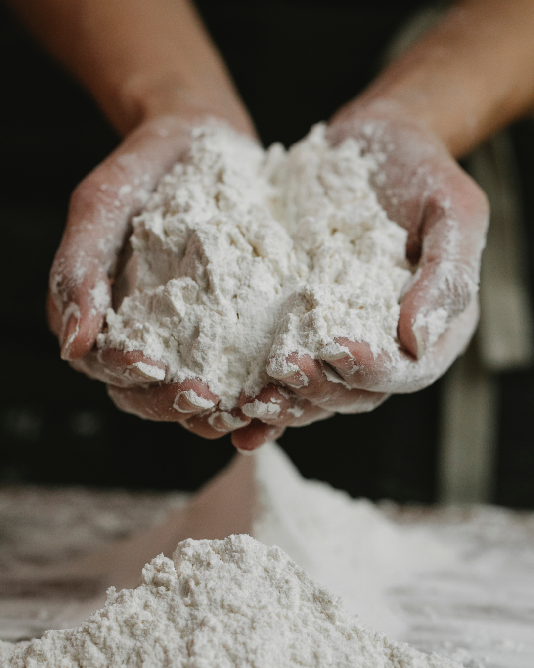 Integra Foods - Faba Flour Processing