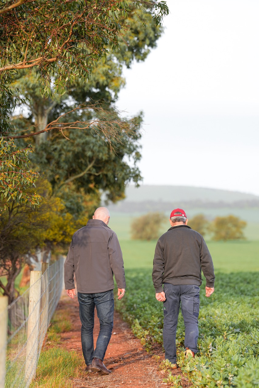 Integra Foods - Faba Bean Grower - SA